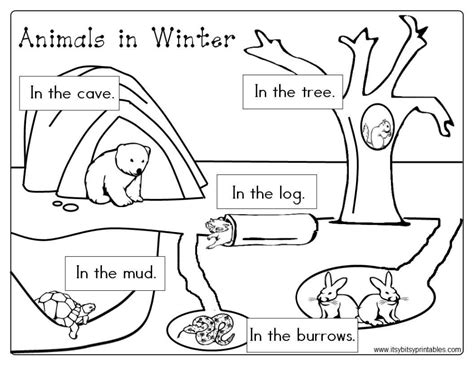 animals  winter freebie prekinder set  hibernating animals