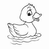 Template Duck Coloring Ducks Animal Little Pages Templates Five Printable Kids Print Easy Farm Drawing Cartoon Colouring Animals Baby Cute sketch template