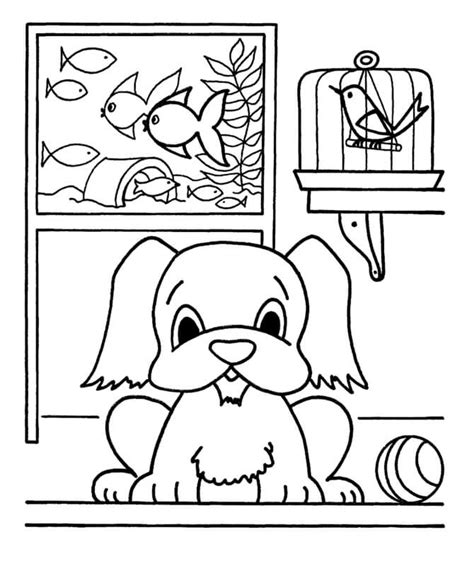 pets coloring pages  preschoolers coloring pages