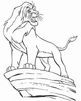 Simba Lion King Pages Coloring Colouring Drawing Adult Disney Scar Baby Drawings Cartoon Printable Become Getdrawings sketch template