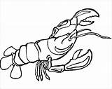 Lobster Coloringbay Webstockreview sketch template