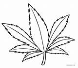 Leaf Coloring Pages Outline Printable Leaves Cool2bkids Marijuana Color Kids Colouring Choose Board sketch template