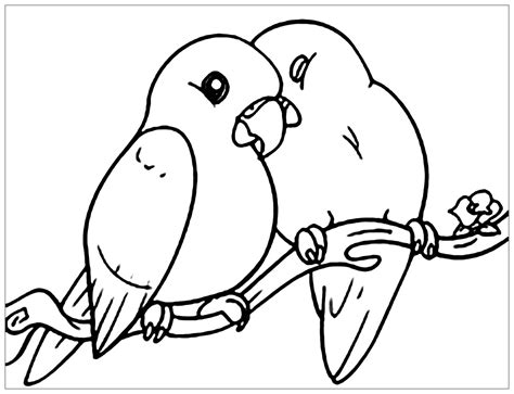 coloring pages  cute birds