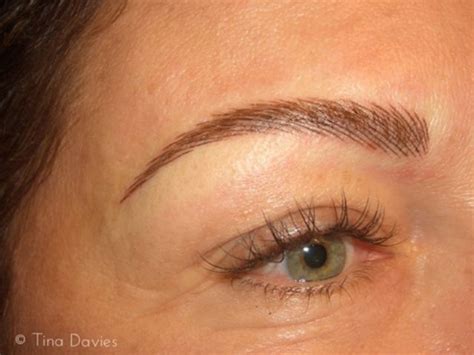 feather eyebrow tattoo ideas  pinterest