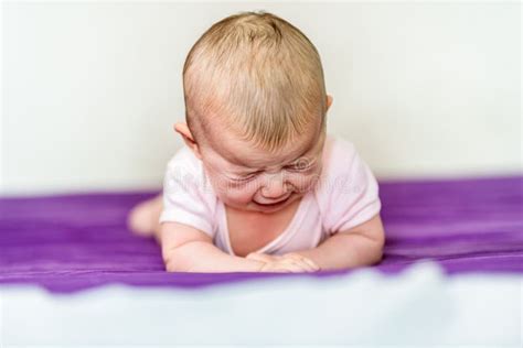 angry crying toddler boy stock image image  challenged