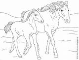 Coloring Horse Pages Wild Getcolorings Horses Color Printable Baby sketch template