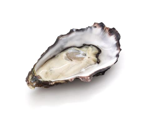 proposal  close washington oyster beds  temperatures rise barfblog
