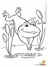 Frog Getdrawings sketch template