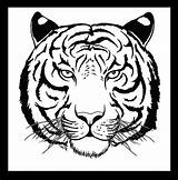 Tiger Face Drawing Simple Coloring Outline Pencil Pages Easy Draw Tigers Getdrawings Line Color Print Printable Getcolorings Colorings sketch template