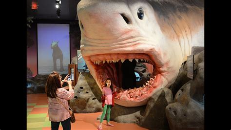 florida travel explore the museum of discovery and