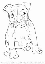 Pitbull Draw Puppy Drawing Bull Pit American Staffordshire Dog Step Terrier Drawings Animals Simple Face Drawingtutorials101 Tutorial Tutorials Other Sketches sketch template
