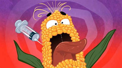 7 need to know facts about genetically modified foods gmos