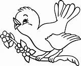 Birds Colouring Drawing Coloring Pages Getdrawings sketch template