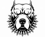 Pitbull Dog Clipart Drawing Face Svg Silhouette Drawings Logo Pit Bull Easy Outline Graphics Head Cartoon Illustration Etsy Tattoo Vector sketch template