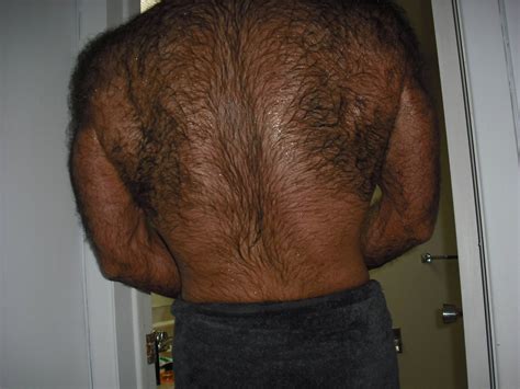 This Is My Hairy Back I Challenge You To Post Your Harrier Back Funny