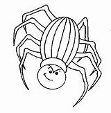 Spider Coloring Getdrawings Print Pages Tarantula sketch template
