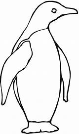 Penguin Coloring Pages Emperor Color Penguins Animals Animal Clipart Print Template Cliparts Kids Cartoon Little Blue Clipartbest Templates Tags Popular sketch template
