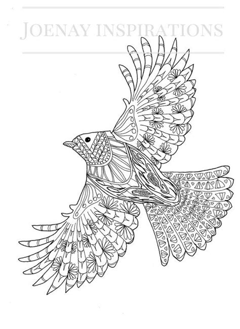 eagle amazing animals adult coloring pages  joenay inspirations