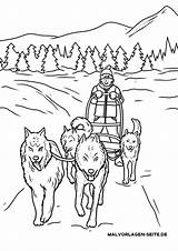 Sled Arctic Ausmalen Hunderennen sketch template