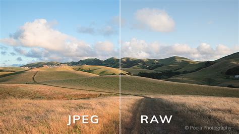 comparing jpeg  raw exposure software