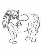 Pony Poney Mewarnai Kuda Poni Shetland Colorear Hellokids Ponys Jedessine Ponis Ponies Colouring Reales Coloriages Dessiner Cheval Paud Ausmalen Poneys sketch template