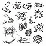 Virus Bacteria Vector Cell Vecteezy sketch template