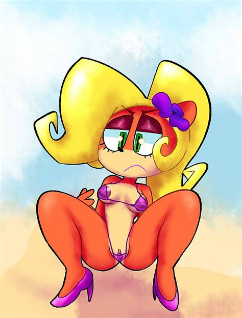 Rule 34 Angry Anthro Breasts Clothing Coco Bandicoot Crash Series