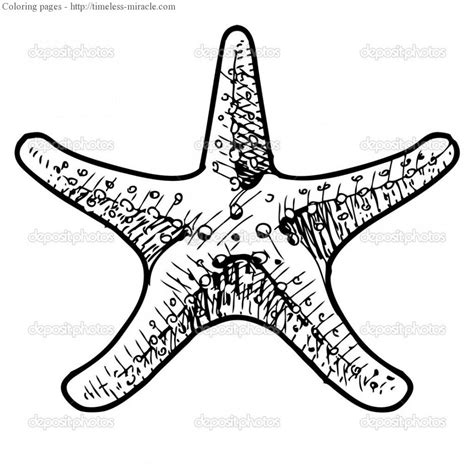 sea star coloring page timeless miraclecom