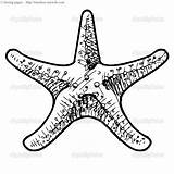 Star Sea Coloring Timeless Miracle sketch template