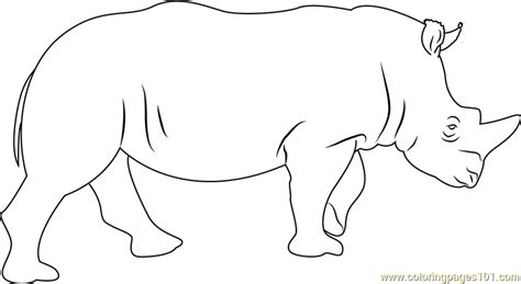 rhino coloring page  kids  rhinoceros printable coloring pages