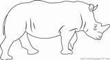 Rhino Coloring Pages Rhinoceros Coloringpages101 Kids sketch template