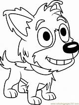 Pound Puppies Coloring Solo Pages Coloringpages101 sketch template