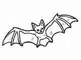 Bat Coloring Drawing Line Pages Clipart Colouring Bats Halloween Draw Colour Color Clip Cute Animal Baby Kids Printable Cliparts Clipartbest sketch template