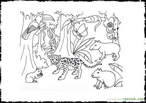 rainforest  coloring pages png  file