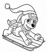 Colorear Navidad Canina Patrulla Paw Patrol sketch template