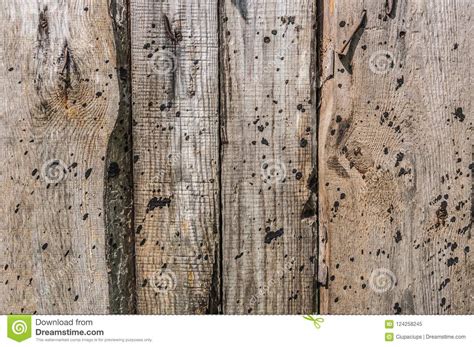 wooden brown noncolored plank  cracked wall surface wallpaper