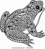 Frogs Zentangle Frosch Doodle Grenouille Ausmalbild Ausmalen Colouring Ornamental Erwachsene Ranas Toads Ornaments Rooster Sapo Pyrogravure Kleurplaten Coloriages Poisson Istockphoto sketch template