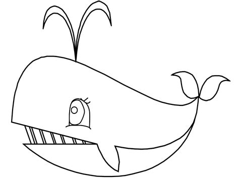 sea animal coloring pages coloring home