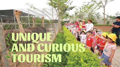 unique  curious phu dong thien vuong tourism
