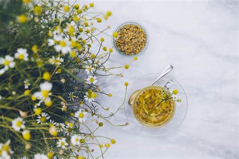 Science Backed Herbal Treatments For Anxiety Mindbodygreen