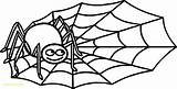 Spider Coloring Pages Getcolorings sketch template