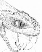 Snakes sketch template