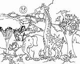 Coloring Pages Savanna Popular sketch template