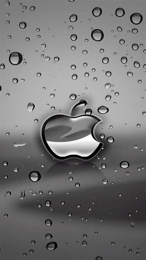 iphone   ipod touch  wallpapers   apple logo iphone  hd wallpapers  hd