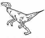 Coloring Velociraptor sketch template