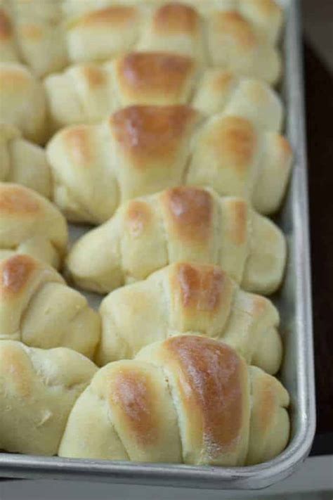 world s best homemade rolls recipe oh sweet basil