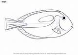 Tang Chirurgo Pesci Fishes Drawingtutorials101 sketch template