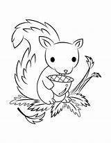 Squirrel Cute Museprintables sketch template