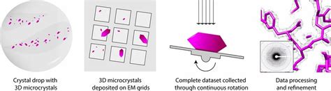 schematic flow   microed method  scientific diagram