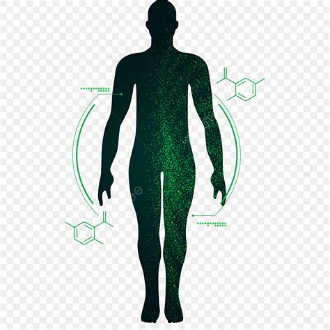 gambar deteksi manusia tubuh manusia deteksi manusia epidemi png  vektor  background